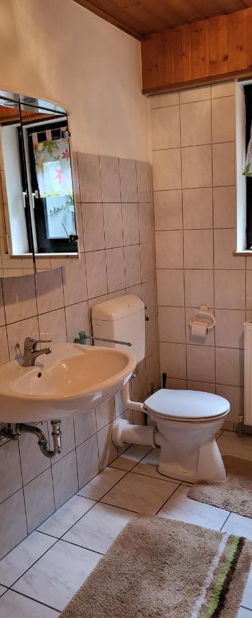 Ferienwohnung Zum Rheinblick Kestert Eksteriør bilde